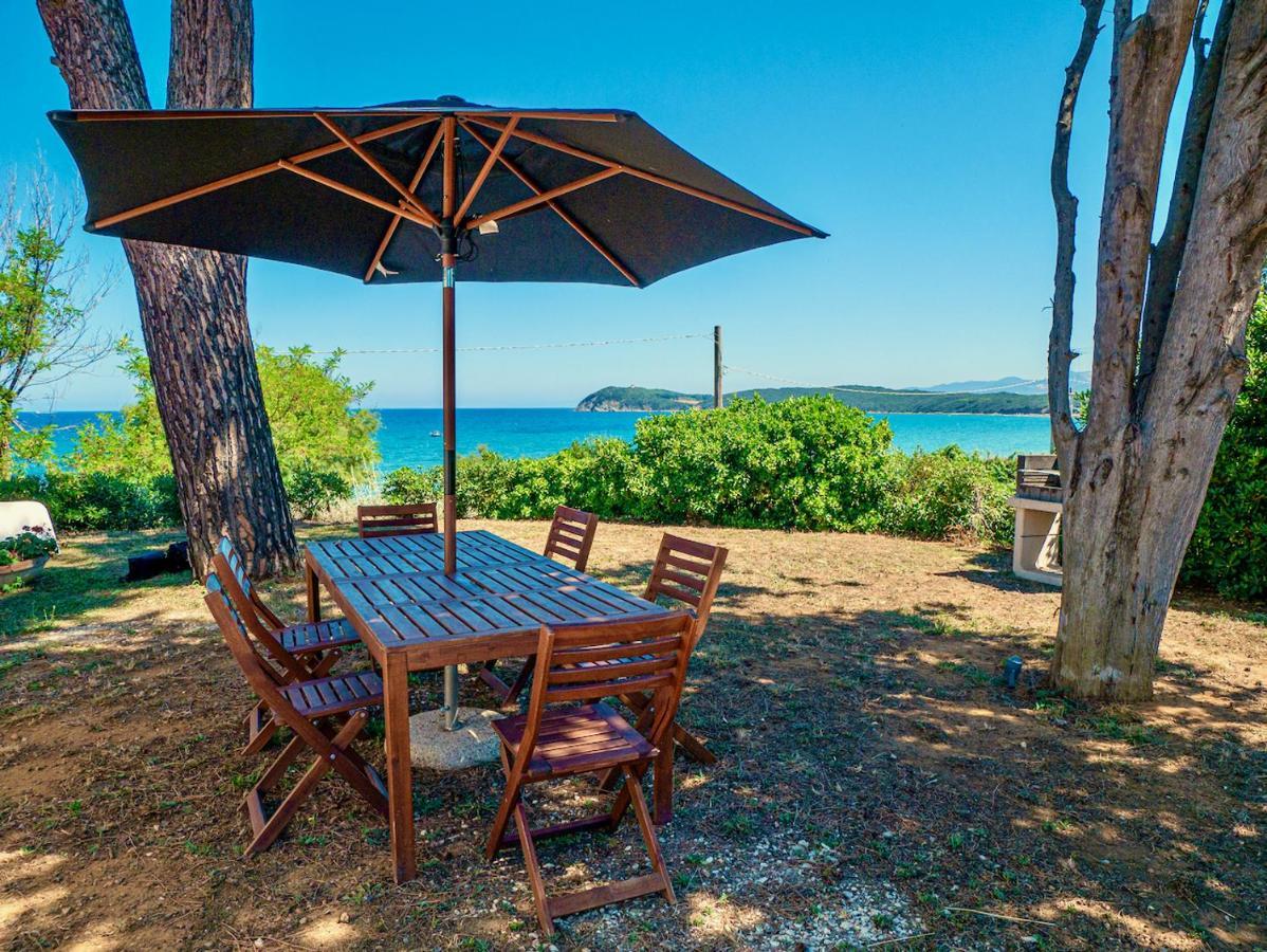Villa Tanaquilla Baratti Extérieur photo